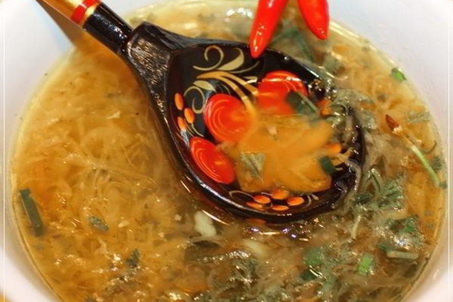 Рецепт щи кислые с уткой
