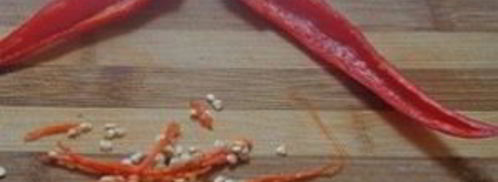 щи консервированные. Шаг 4