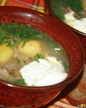 Щи с говядиной и квашеной капустой