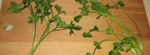 щи зеленые. Шаг 24