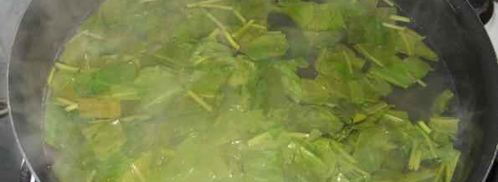 щи зеленые. Шаг 16