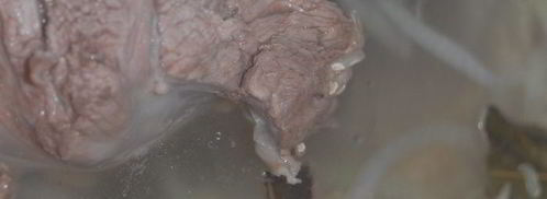 харчо из баранины. Шаг 2