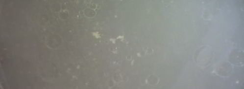 харчо из курицы. Шаг 5