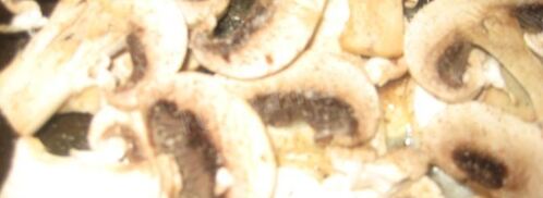 грибной суп-пюре на молоке из свежих грибов. Шаг 8