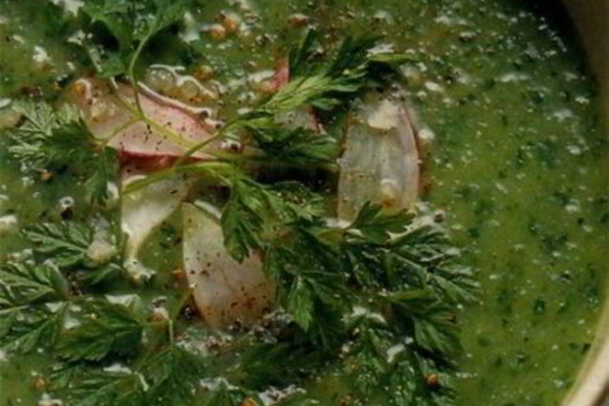 Рецепт зеленый суп-пюре