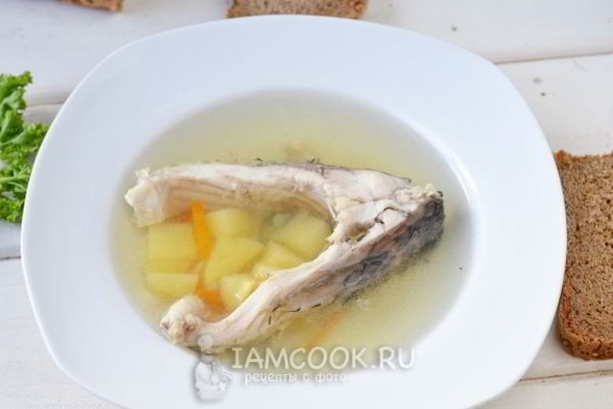 Рецепт уха из карпа