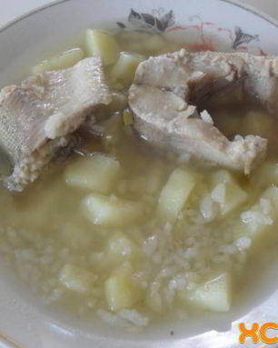 Уха из щуки