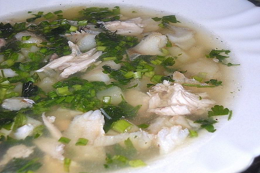 Рецепт уха из судака