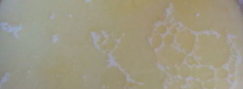 булочки дома паркеров. Шаг 3