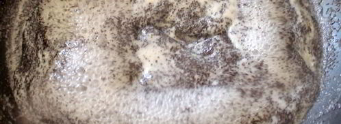 булочки с карамелизированным маком. Шаг 13