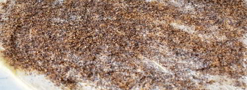 булочки с маковой начинкой. Шаг 11