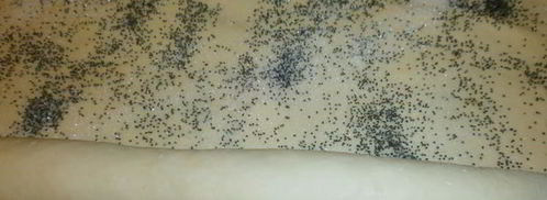 плюшки с маком. Шаг 11