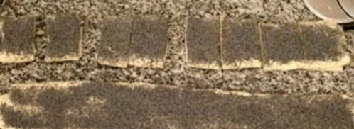 слоеные булочки с маком. Шаг 2