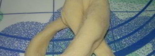 венская булочка. Шаг 2