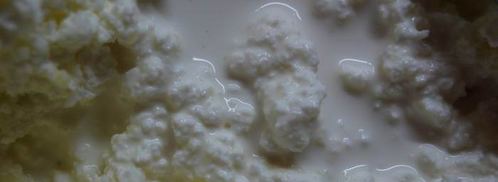 пряный чизкейк. Шаг 7