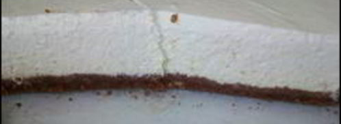 творожный чизкейк с лаймом. Шаг 16