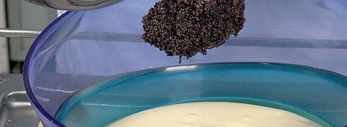 яблочный чизкейк с маком. Шаг 4