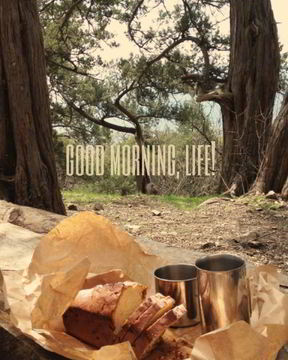 Кекс с изюмом на фруктозе