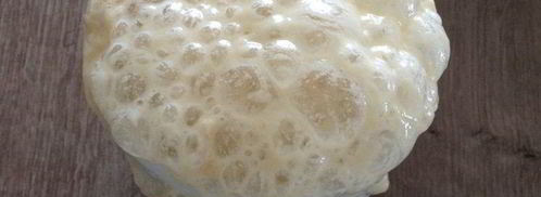 белый хлеб на молочной сыворотке. Шаг 2