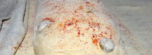 чиабатта с оливками. Шаг 13