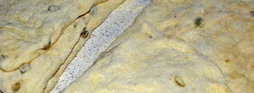 чиабатта с оливками. Шаг 8