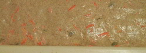 хлеб с морковью. Шаг 9