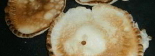 оладьи без соды. Шаг 2