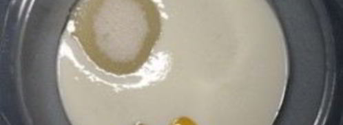 пышные яблочные оладьи. Шаг 2