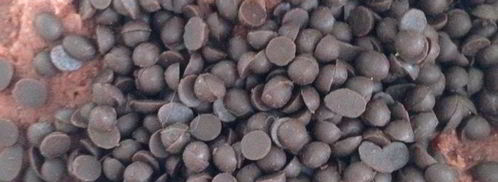 печенье красный бархат. Шаг 4