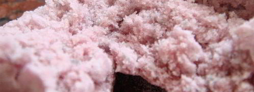 постное печенье сакура. Шаг 7