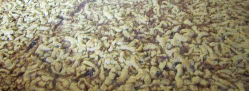 тертый пирог с творогом. Шаг 7