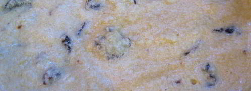 творожный пирог с черносливом и цитрусовыми. Шаг 4