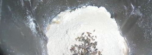 закусочные пирожки с сыром на тесте с морской капустой. Шаг 2