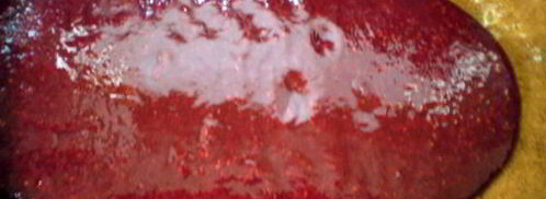 пирожное малина в шампанском. Шаг 9