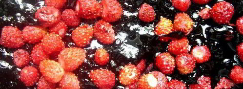 пирожное с черничным киселем, земляникой и сливками. Шаг 4