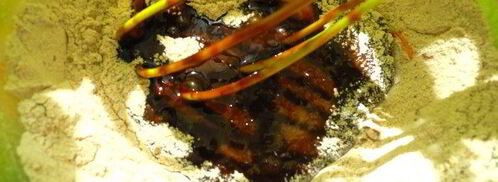 шоколадно-апельсиновые пирожные летим. Шаг 4