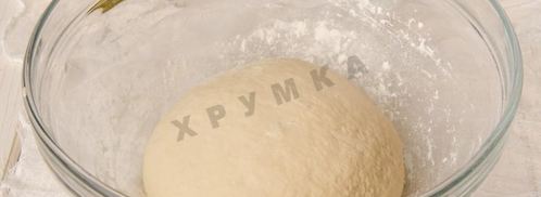 пицца с красной рыбой семгой на дрожжевом тесте. Шаг 8