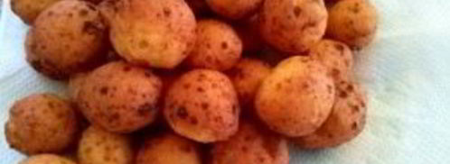 пончики из творога. Шаг 5