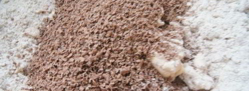 шоколадные пряники вкусные подарки. Шаг 2