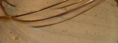 шарлотка с шоколадно-малиновым муссом и воздушным ванильным кремом. Шаг 13