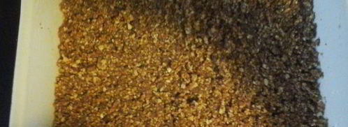 сигары с орешками и пахлава. Шаг 5