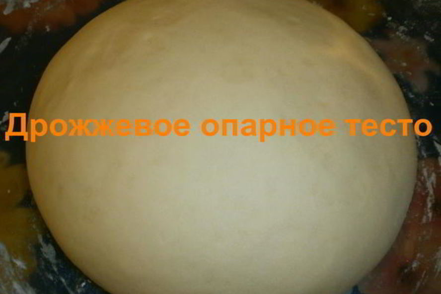 Рецепт дрожжевое опарное тесто