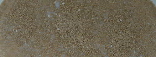 дрожжевое тесто. Шаг 3