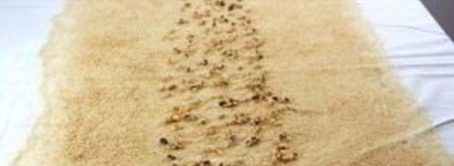 тесто для штруделя. Шаг 9