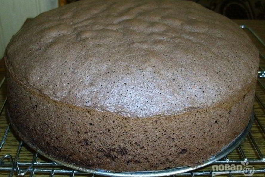 Рецепт бисквит с какао классический