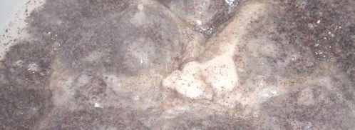 маковый тортик. Шаг 2