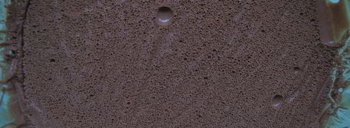 рождественское полено с пряной вишней и розмарином. Шаг 19