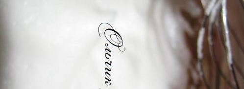 рождественское полено. Шаг 35