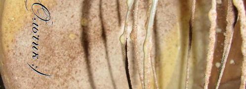 рождественское полено. Шаг 5