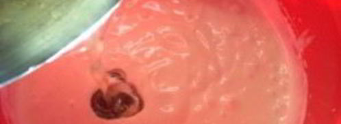 торт с йогуртом и желатином. Шаг 10